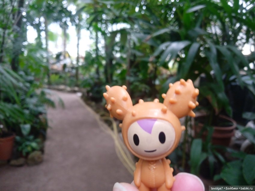 TokiDoki в Ботсаду Петра Великого