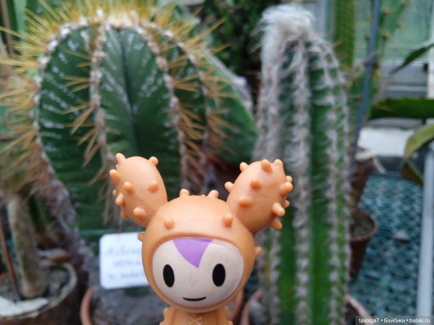 TokiDoki в Ботсаду Петра Великого