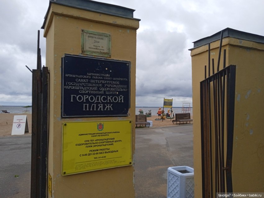 Тургенев и Ко в Кронштадте