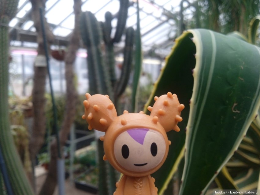 TokiDoki в Ботсаду Петра Великого