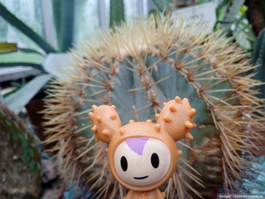 TokiDoki в Ботсаду Петра Великого