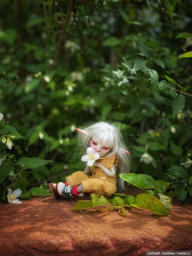Летнее — Авторские куклы BJD (БЖД) у нас дома: фото
