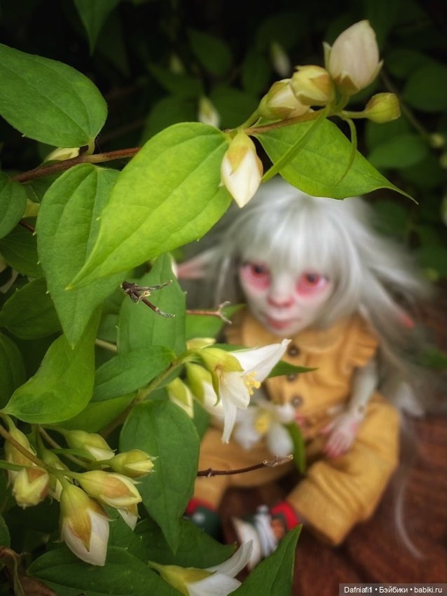 Летнее — Авторские куклы BJD (БЖД) у нас дома: фото (фото 3)