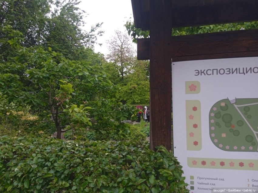 Ботсад Петра Великого в мае 2026