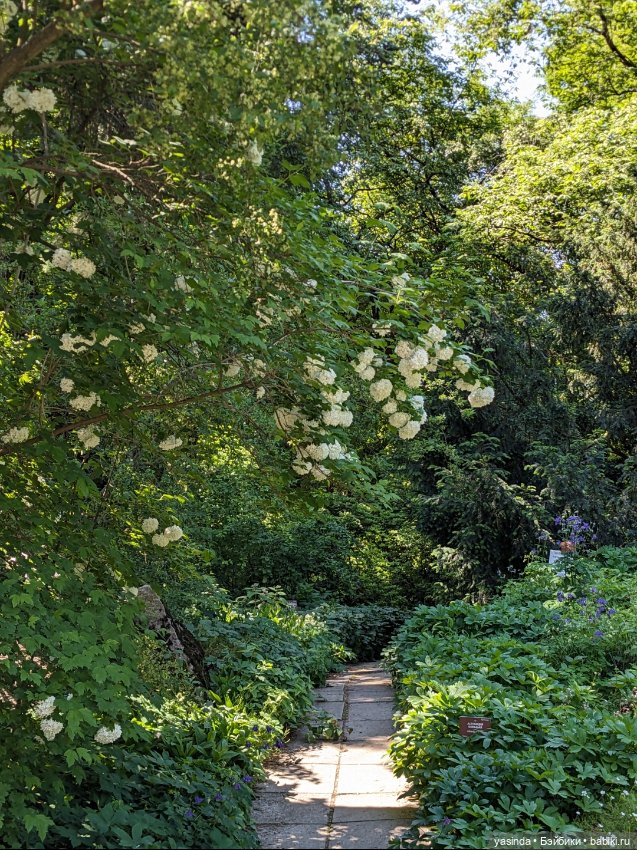 Зая в ботаническом саду — Азиатские виниловые куклы (разное): Китай (фото 5)