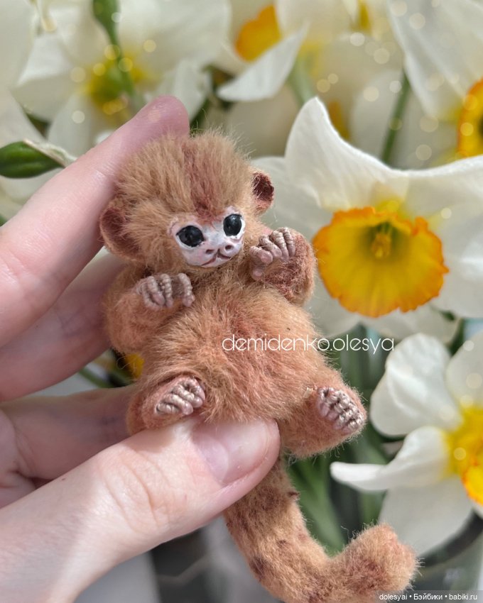 Маленькая обезьянка мармозетка Бейли 🐒 (фото 5)