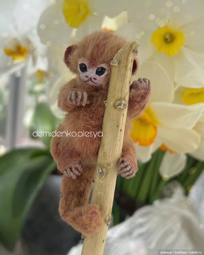 Маленькая обезьянка мармозетка Бейли 🐒