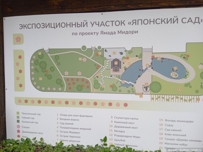Ботсад Петра Великого в мае 2026