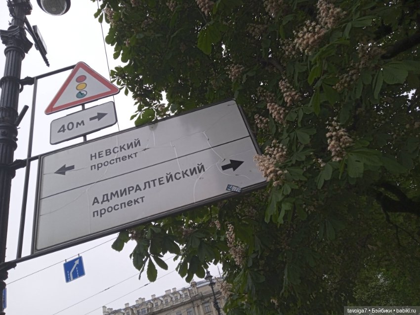 Эдик в Питере — Куклы Барби