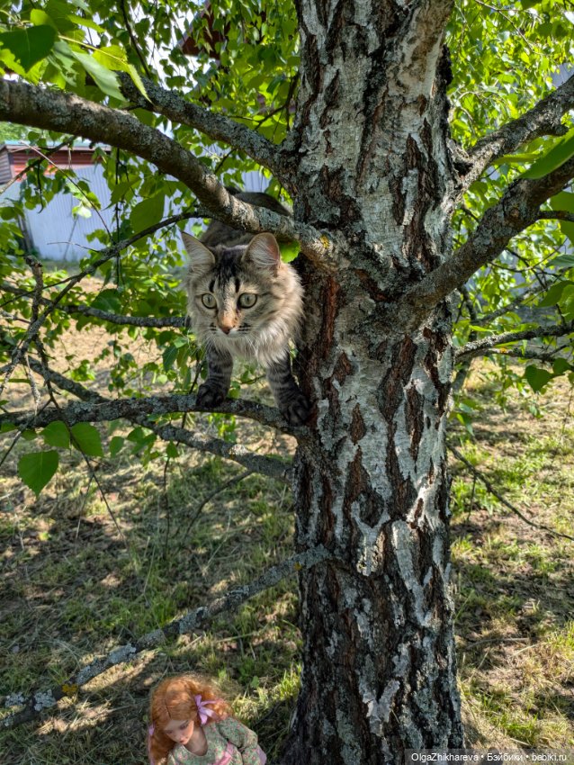 ☀️🌷🌷🌷Приятная прогулка 🌿🪻🪻🪻🐝🐾