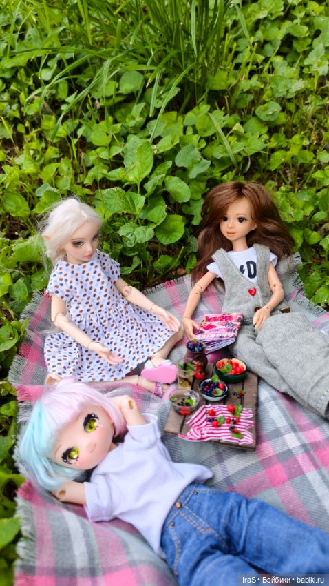 Минипикник 🍓 — Авторские куклы BJD (БЖД) у нас дома: фото (фото 3)