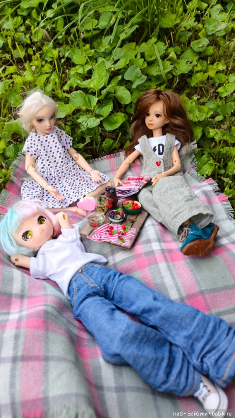Минипикник 🍓 — Авторские куклы BJD (БЖД) у нас дома: фото
