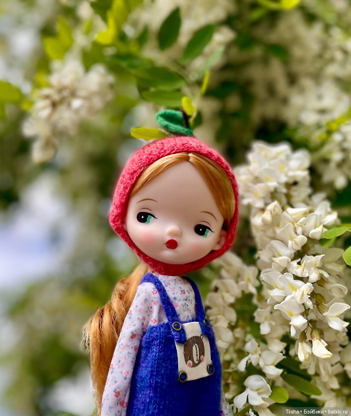 Шапули для Ододо — Куклы Strawberry Planet: Redberry