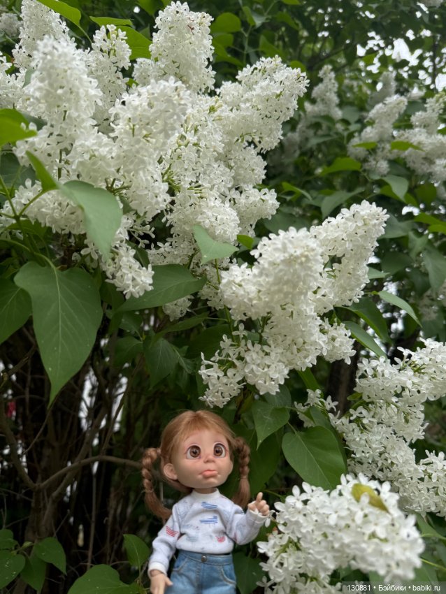 Кнопка-Плакса. Мария Жукова