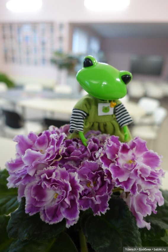 Мои лягушечки Wonder frog. Семейка Квакиных на работе (фото 6)