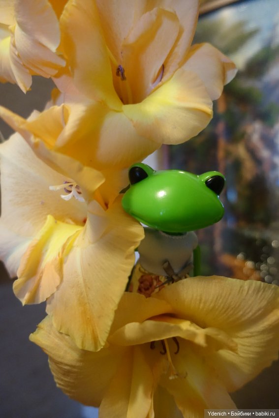 Мои лягушечки Wonder frog. Семейка Квакиных на работе