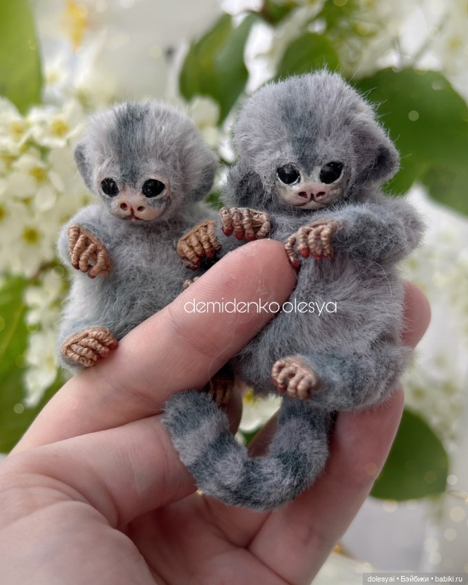 Миниатюрная обезьянка игрунка Рокси 🩶✨ (фото 6)