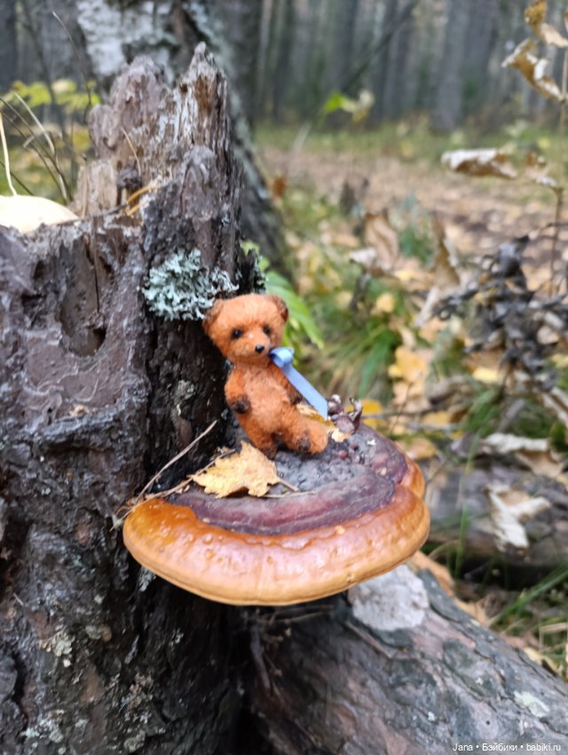 Мой май! Наше лето) — Домашние коллекции кукол: фото собраний