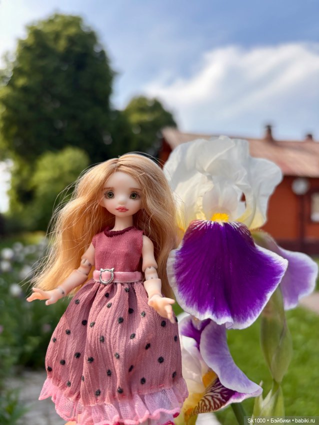 Зацвели все разом — Разные куклы BJD (БЖД): редкие бренды (фото 7)