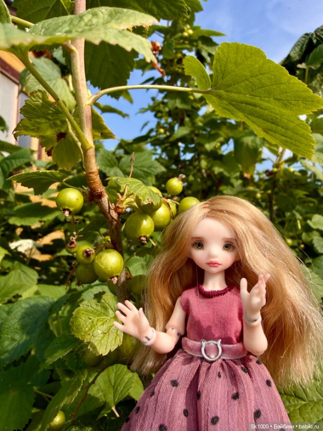 Зацвели все разом — Разные куклы BJD (БЖД): редкие бренды