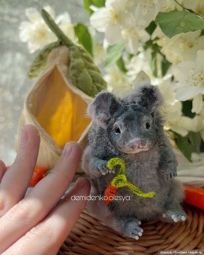 Миниатюрная шиншилла Лола 🐹🤍 (фото 3)