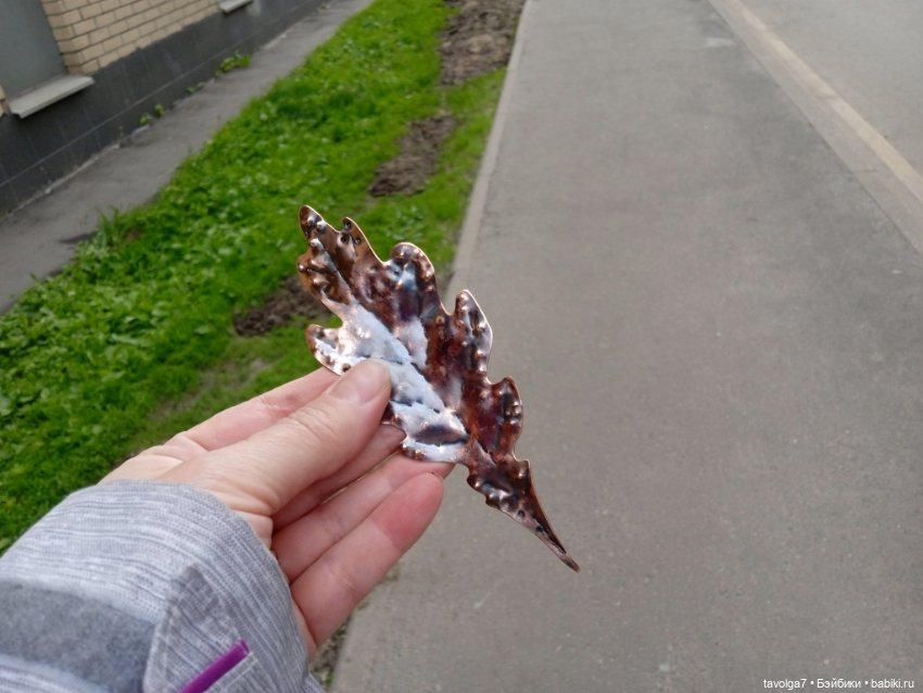 Москва Сад Будущего и Мулан (фото 3)