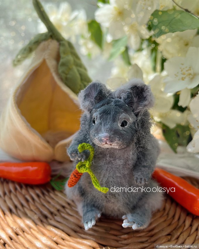 Миниатюрная шиншилла Лола 🐹🤍