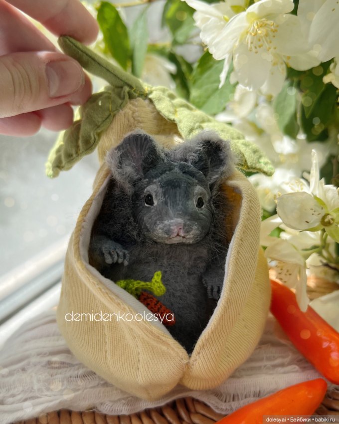 Миниатюрная шиншилла Лола 🐹🤍 (фото 6)