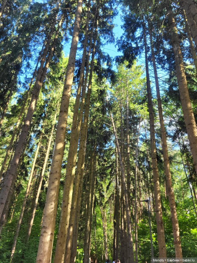 Луиза в парке Малевича — Другие интересные игрушки (фото 8)