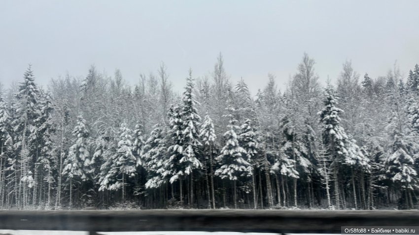 Немного зимней сказки посредине лета