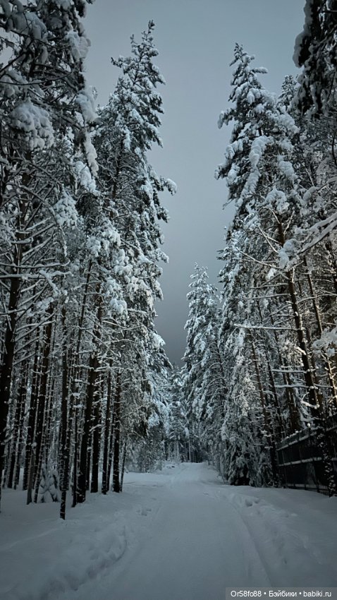 Немного зимней сказки посредине лета