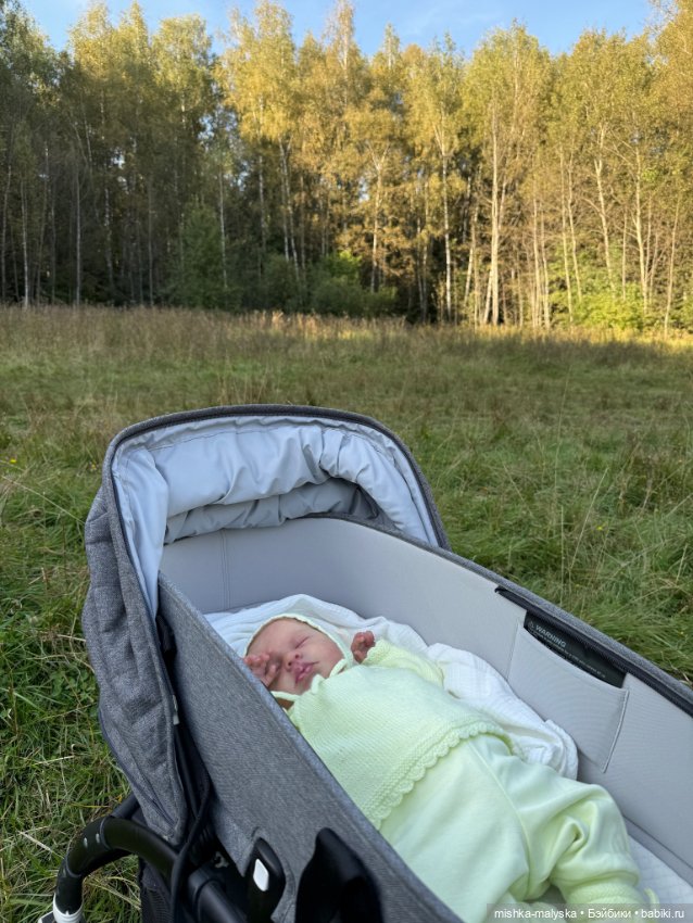 Лаймовый сорбет в июне — Куклы Реборн (Reborn): домашние фото