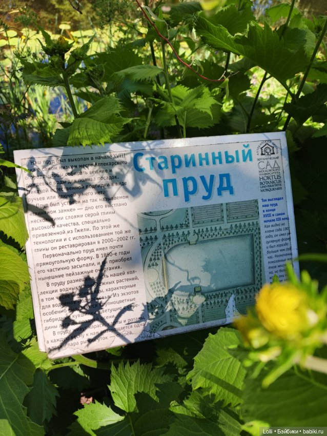 Прогулка в ботаническом саду с Она Наталии Петровой (фото 2)