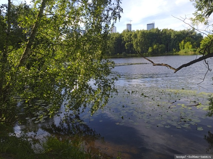 Василиса Le Frog купальный сезон 2026 открыт