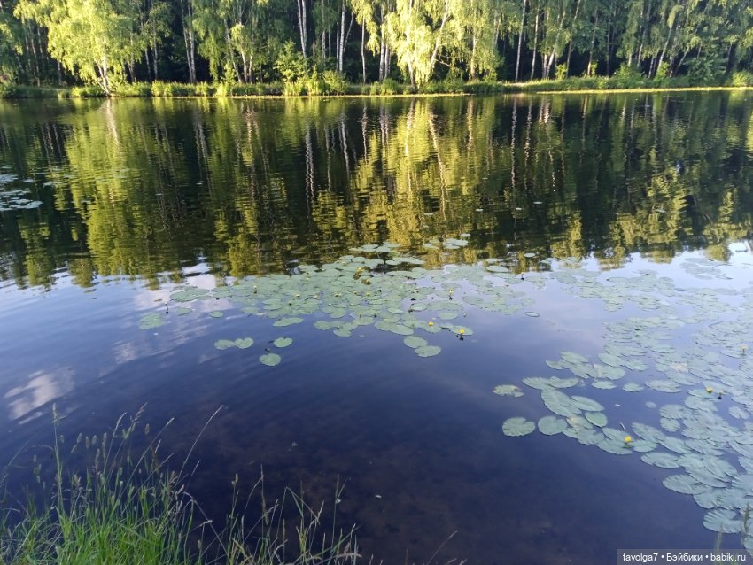 Василиса Le Frog купальный сезон 2026 открыт