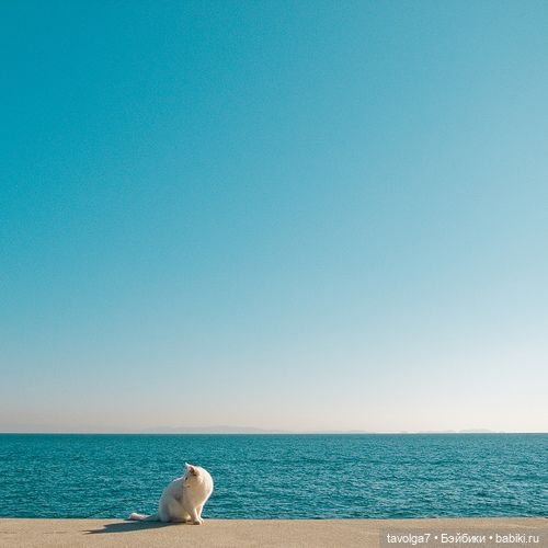 Cool Summer - прохлада у бассейна