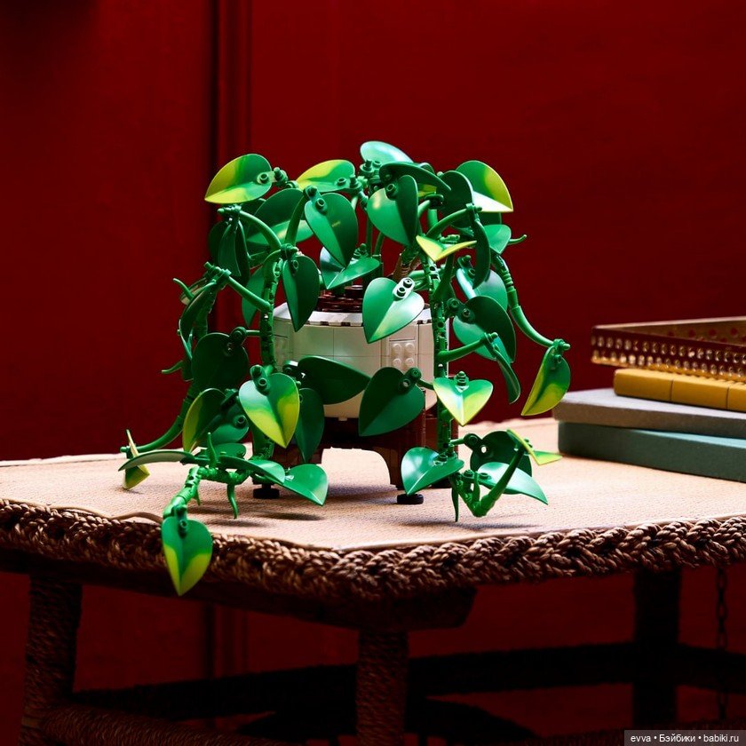 Наборы Dark Flower Arrangement и Hanging Golden Pothos (фото 6)
