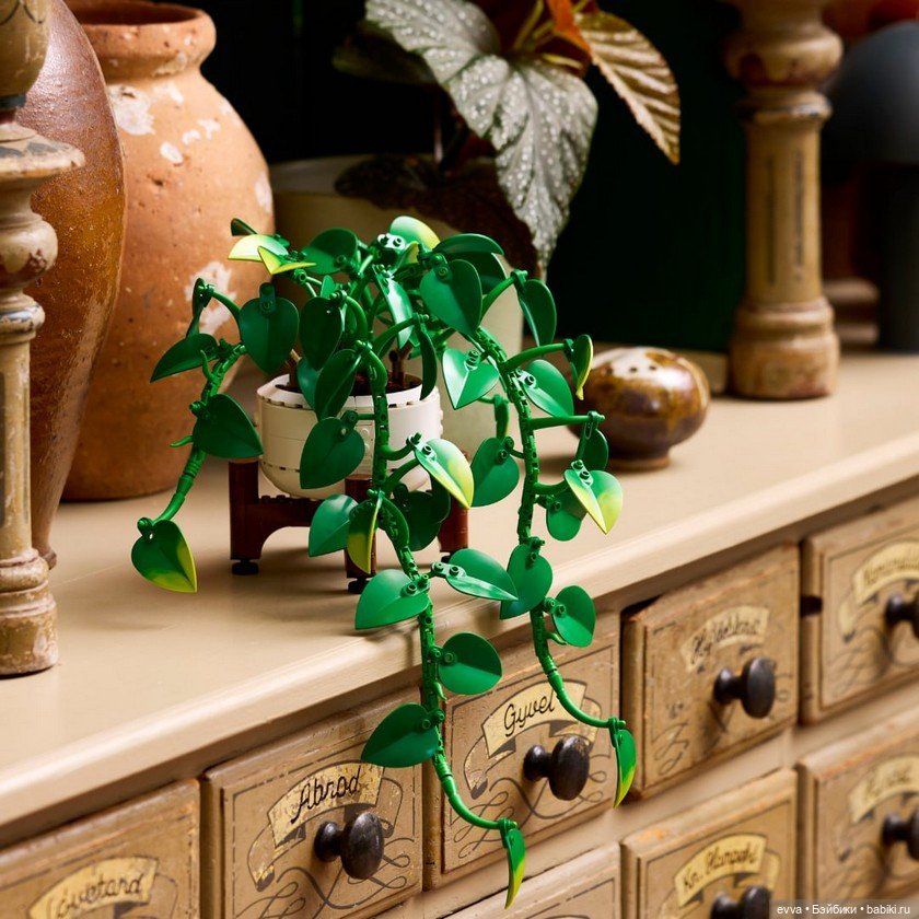 Наборы Dark Flower Arrangement и Hanging Golden Pothos (фото 2)