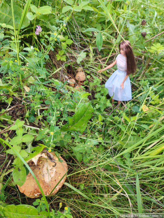 Хвастаемся обновкой — Куклы Барби
