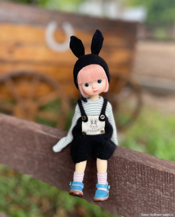 Black Rabbit (duoding doll)