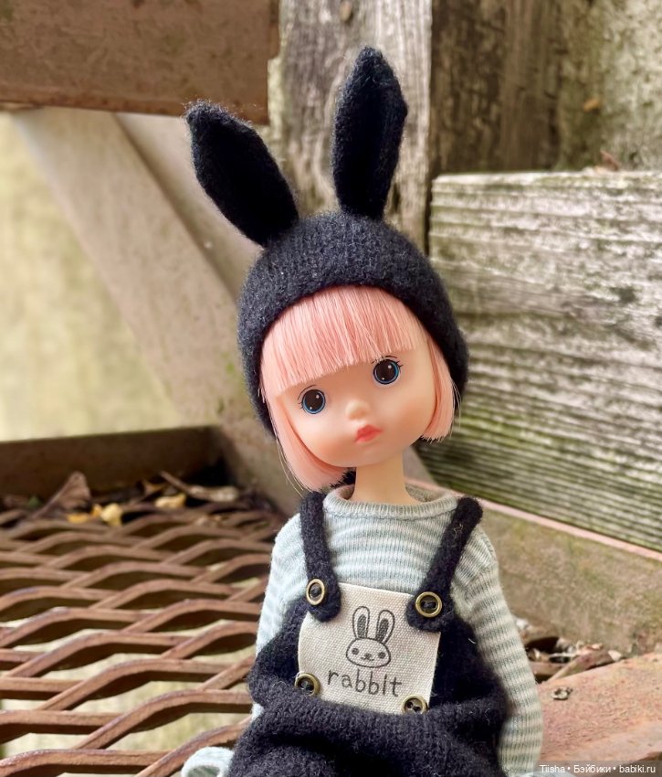 Black Rabbit (duoding doll)