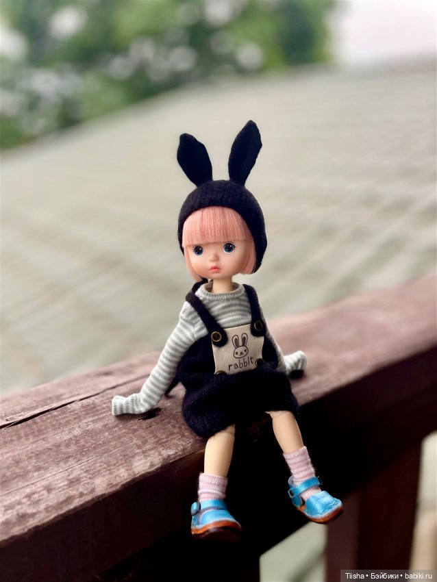 Black Rabbit (duoding doll)