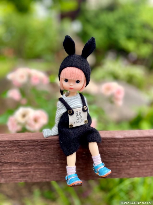 Black Rabbit (duoding doll)