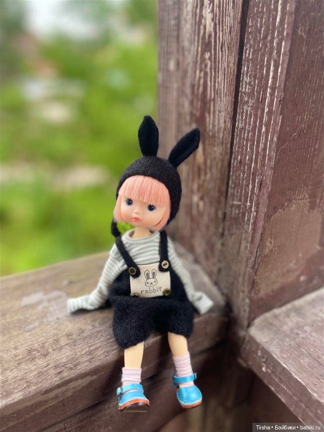 Black Rabbit (duoding doll)
