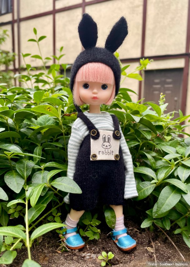 Black Rabbit (duoding doll)