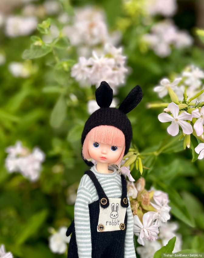 Black Rabbit (duoding doll)