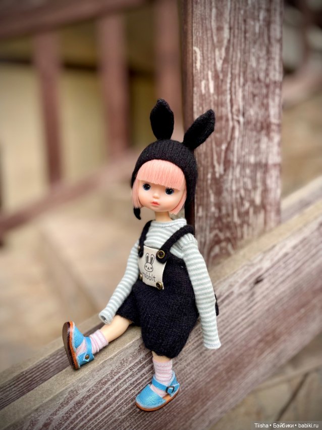 Black Rabbit (duoding doll)