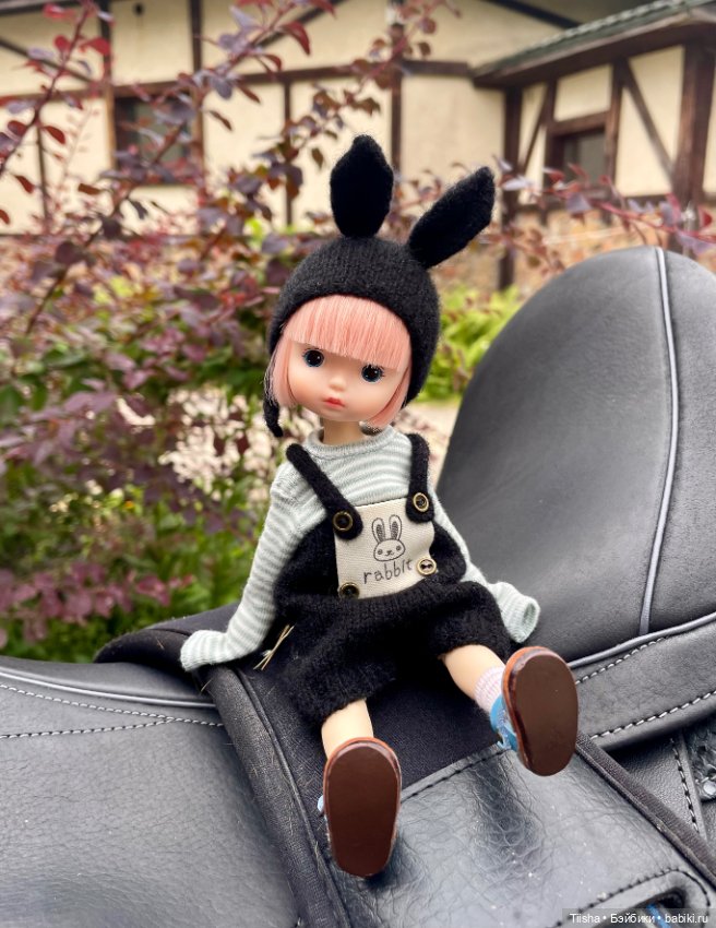 Black Rabbit (duoding doll)