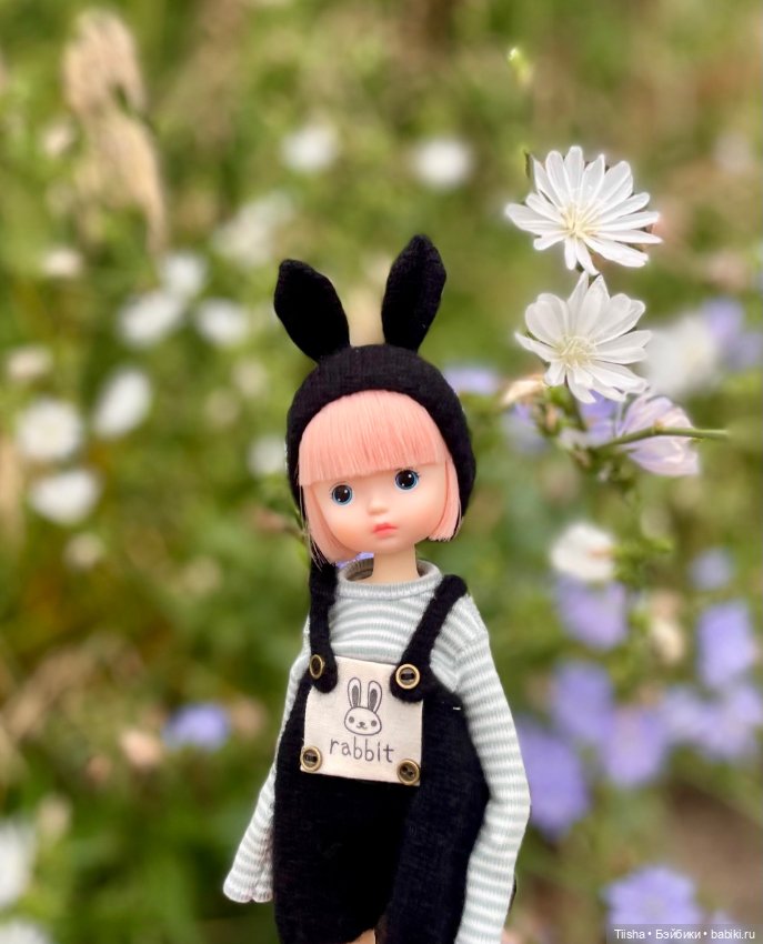 Black Rabbit (duoding doll)