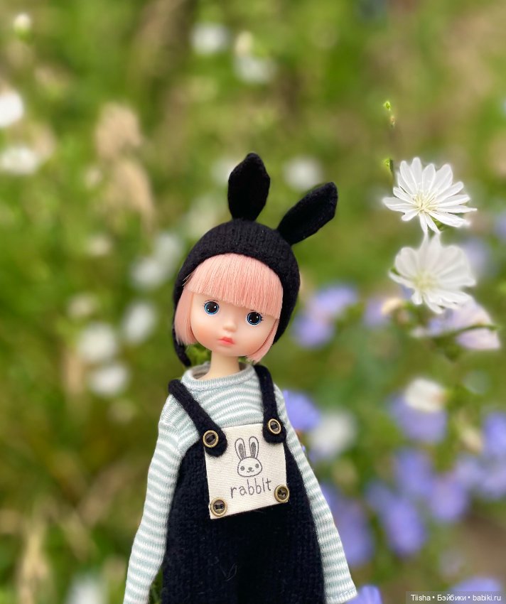Black Rabbit (duoding doll)